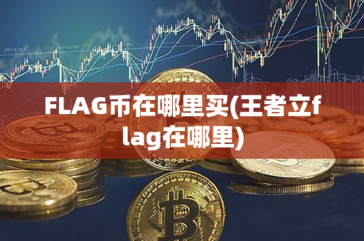 FLAG币在哪里买(王者立flag在哪里)第1张-融通网