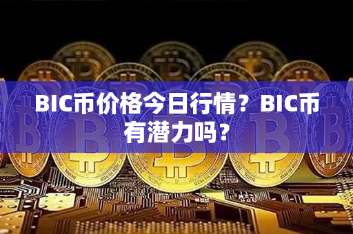 BIC币价格今日行情？BIC币有潜力吗？第1张-融通网