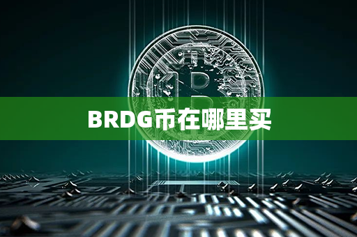 BRDG币在哪里买第1张-融通网