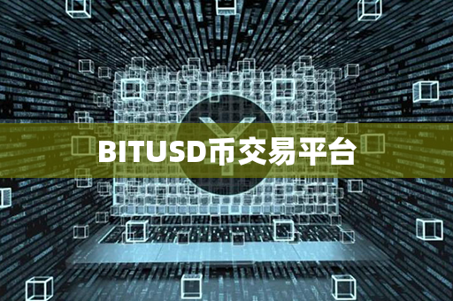 BITUSD币交易平台第1张-融通网