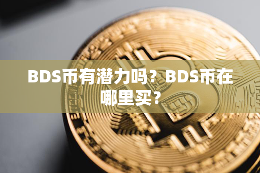 BDS币有潜力吗？BDS币在哪里买？第1张-融通网