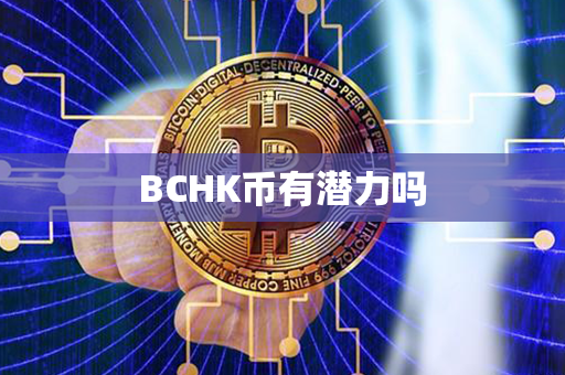 BCHK币有潜力吗第1张-融通网