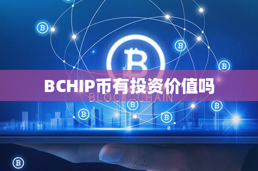 BCHIP币有投资价值吗