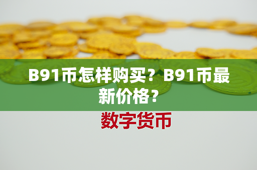 B91币怎样购买？B91币最新价格？第1张-融通网