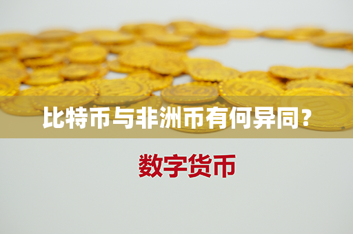 比特币与非洲币有何异同？