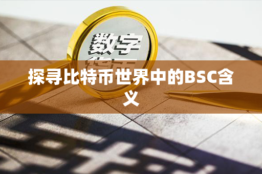 探寻比特币世界中的BSC含义